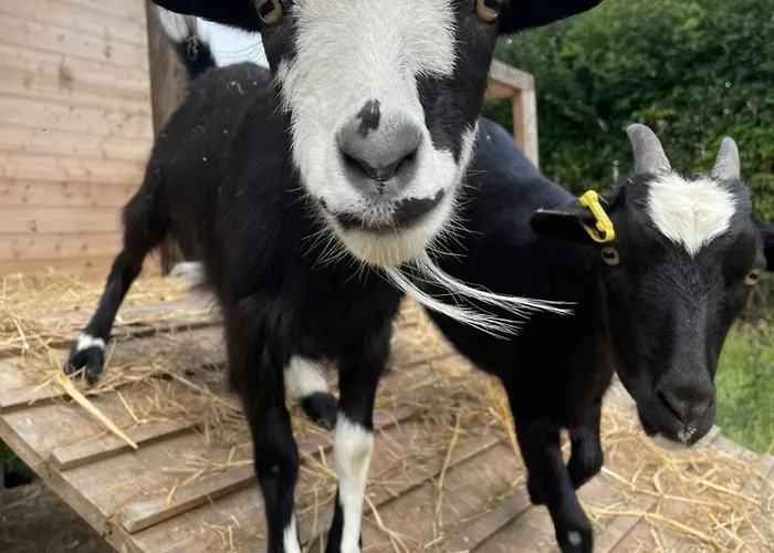 Seelust Rose Apartment